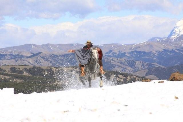 O Rei da Sapecada: “Quando gritaram Catarina me apresentei” – A canção grande vencedora da 3ª Sapecada da Canção Nativa, 30 anos atrás, se curva novamente à nobreza de seu criador, Elton Saldanha