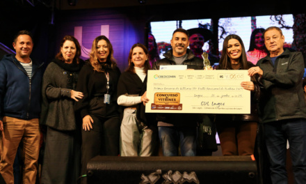 Com recorde de inscrições, concurso de vitrines premiou 11 empresas com o tema alusivo à Festa Nacional do Pinhão