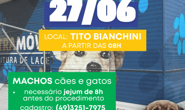 Cadastro para mutirão de castração começa hoje