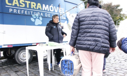 52 animais são castrados no mutirão do Centro de Bem-estar Animal