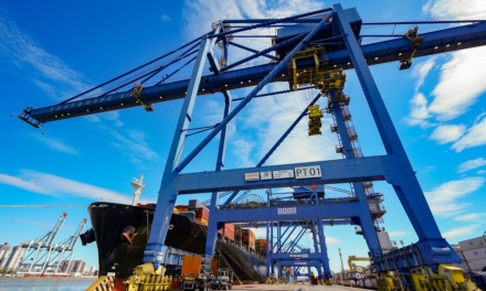 Santa Catarina é líder nacional em exportação de madeira e móveis