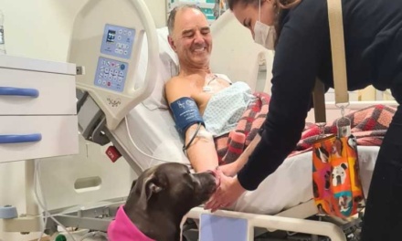 A volta da Cãoterapia no Hospital Nossa Senhora dos Prazeres