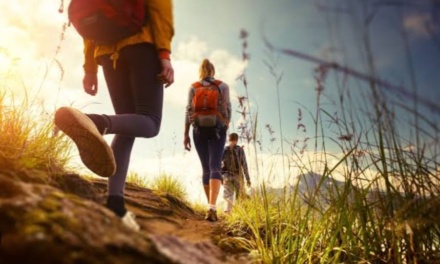 Caminhada no Parque Natural Municipal marcará celebração ao Dia Nacional de Combate ao Fumo