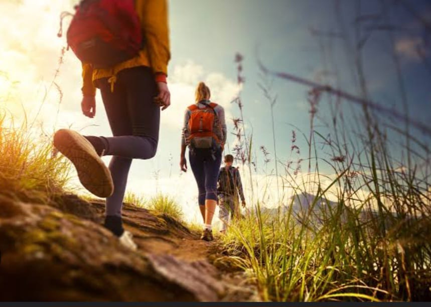 Caminhada no Parque Natural Municipal marcará celebração ao Dia Nacional de Combate ao Fumo