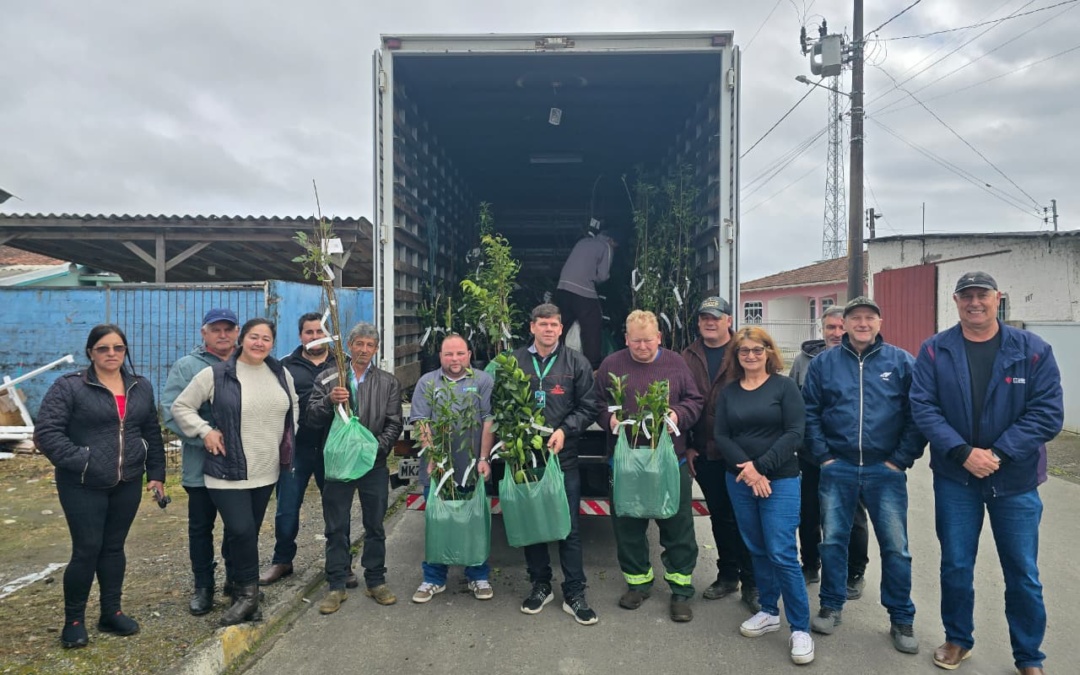 Mais de 700 mudas frutíferas são entregues a produtores de Otacílio Costa