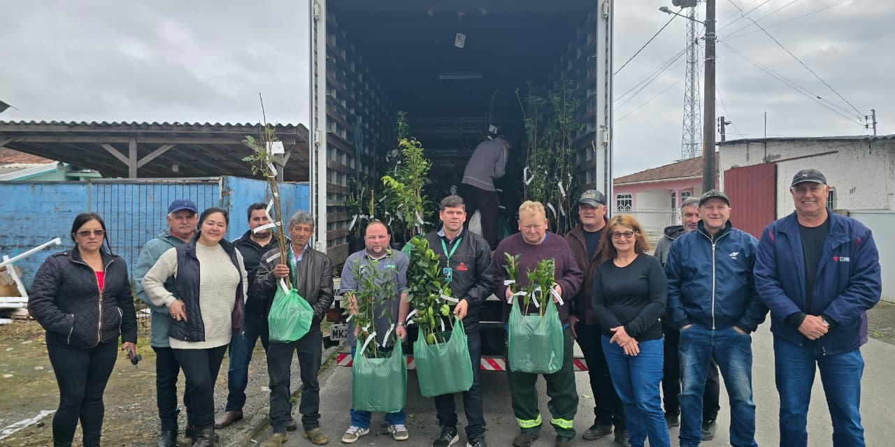 Mais de 700 mudas frutíferas são entregues a produtores de Otacílio Costa