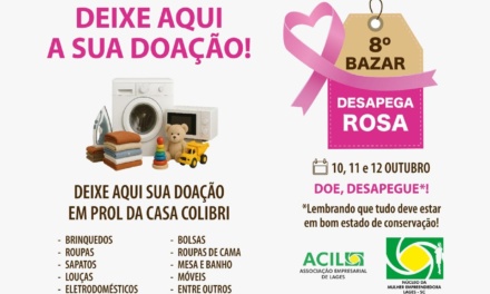 Núcleo da Mulher Empreendedora da ACIL está recebendo doações para a 8ª edição do Bazar Desapega Rosa