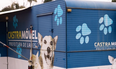 Castramóvel estará no Guarujá + Social nesta terça-feira