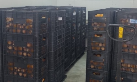 Lages receberá 12 toneladas de alimentos provenientes da Agricultura Familiar