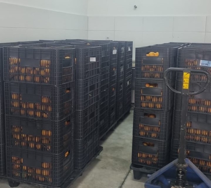 Lages receberá 12 toneladas de alimentos provenientes da Agricultura Familiar