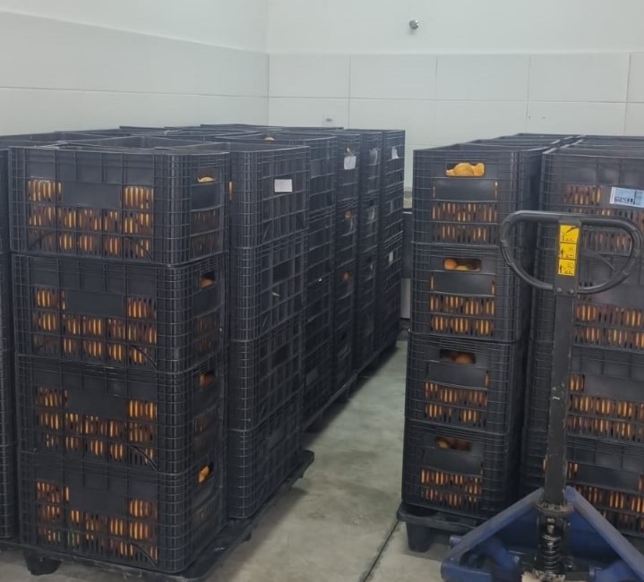 Lages receberá 12 toneladas de alimentos provenientes da Agricultura Familiar