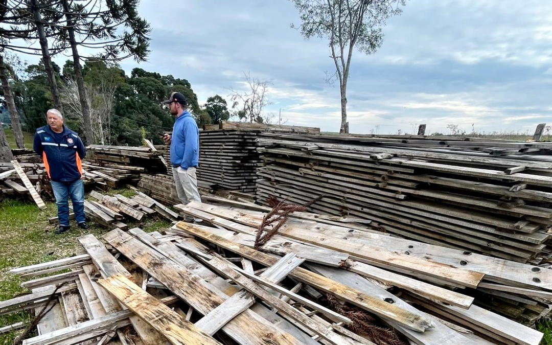 Madeira apreendida por corte ilegal será utilizada na construção de moradias para atender famílias em situação de vulnerabilidade em Lages