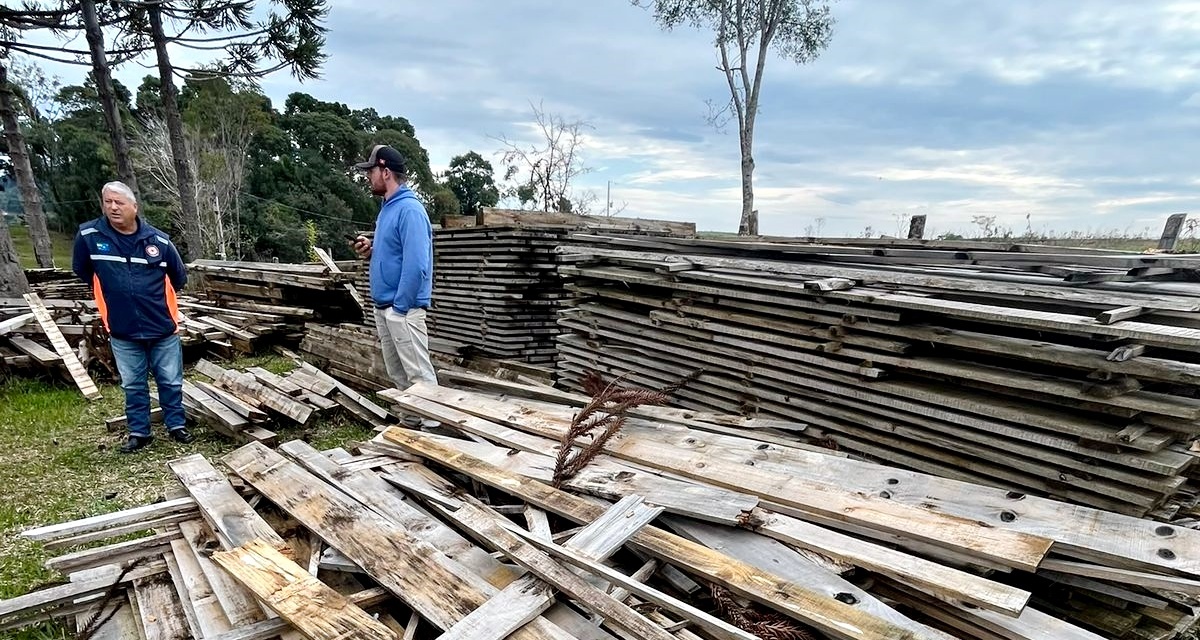 Madeira apreendida por corte ilegal será utilizada na construção de moradias para atender famílias em situação de vulnerabilidade em Lages