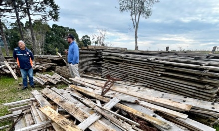 Madeira apreendida por corte ilegal será utilizada na construção de moradias para atender famílias em situação de vulnerabilidade em Lages