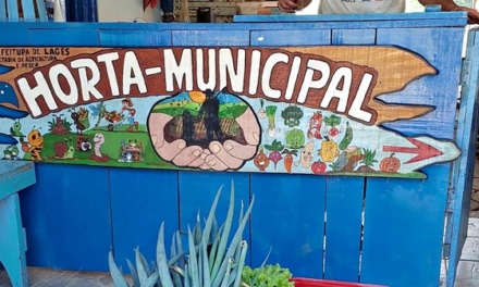 Mudas de cebola serão distribuídas no Horto Municipal na próxima sexta-feira