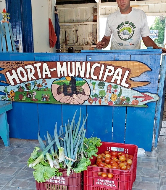 Mudas de cebola serão distribuídas no Horto Municipal na próxima sexta-feira