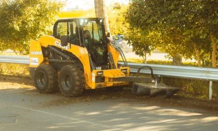 Prefeitura executa limpeza e manutenção urbana nas avenidas Ponte Grande e outros pontos da cidade