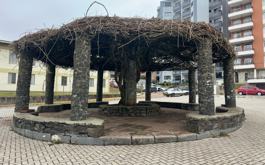 Prefeitura realiza poda inédita no Parque Jonas Ramos e promove limpeza completa do espaço