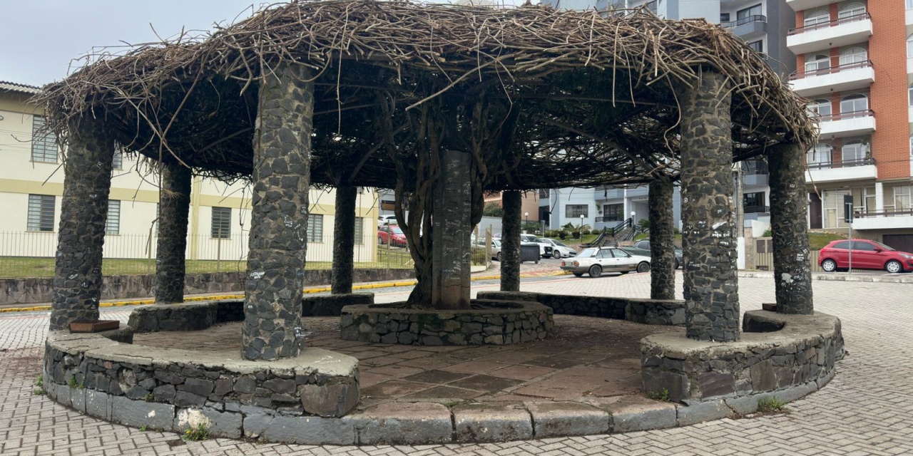 Prefeitura realiza poda inédita no Parque Jonas Ramos e promove limpeza completa do espaço