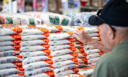 Procon divulga pesquisa mensal de preços de produtos da cesta básica do mês de agosto