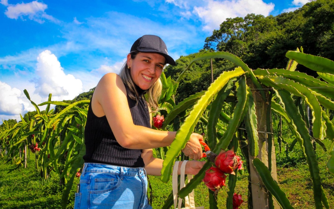 Representante do governador, Fernanda Cordova quer ampliar compra de merenda escolar de agricultores da Serra Catarinense