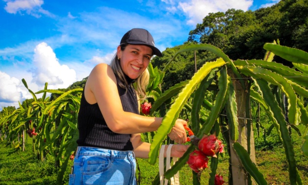 Representante do governador, Fernanda Cordova quer ampliar compra de merenda escolar de agricultores da Serra Catarinense