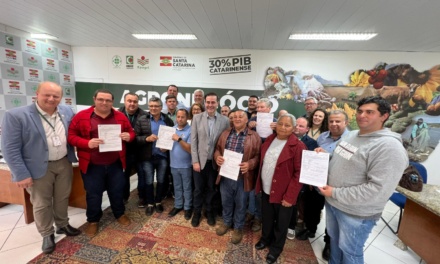 Agricultores de Otacílio Costa conquistam acesso à água com apoio do projeto Água para Todos