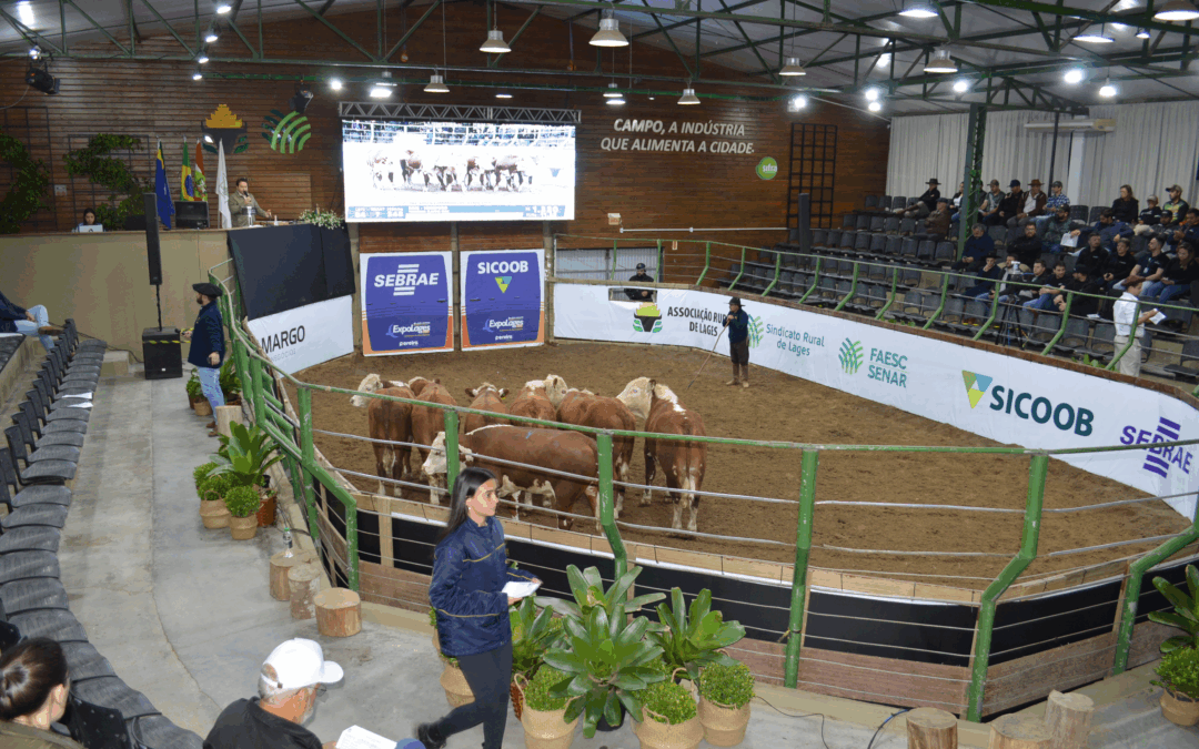 Expolages 2025 promete movimentar o agronegócio na Serra Catarinense