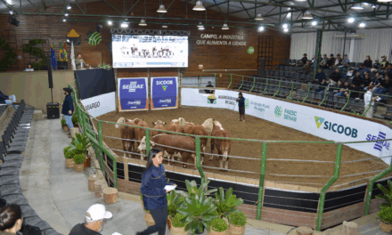 Expolages 2025 promete movimentar o agronegócio na Serra Catarinense