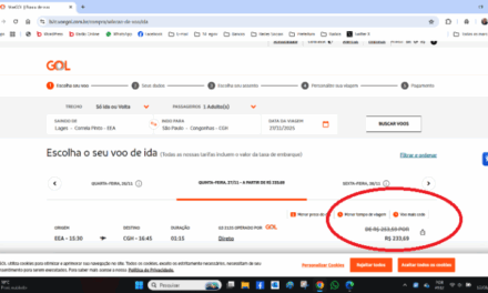 Passagem aérea da Gol está por R$ 233,69