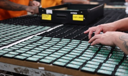 Secretaria abre novos editais para ampliar parceria entre empresas privadas e trabalho dentro do sistema prisional de SC