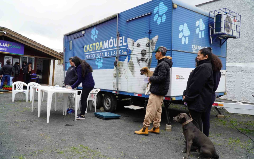 Centro de Bem-estar Animal realizou quase 400 procedimentos de castração no mês de agosto