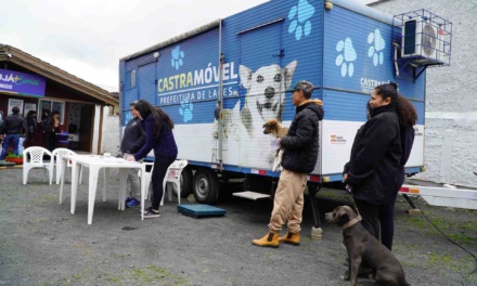 Centro de Bem-estar Animal realizou quase 400 procedimentos de castração no mês de agosto