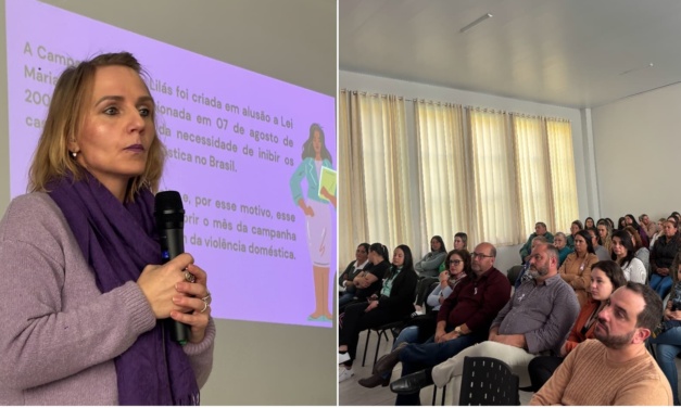 Município de Palmeira e o enfrentamento à violência contra a mulher