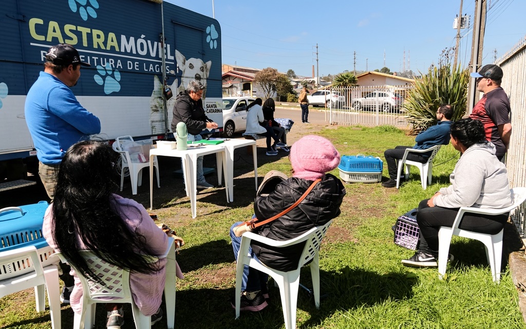 Mutirão de castração no Vila Nova é transferido para o dia 31 de outubro