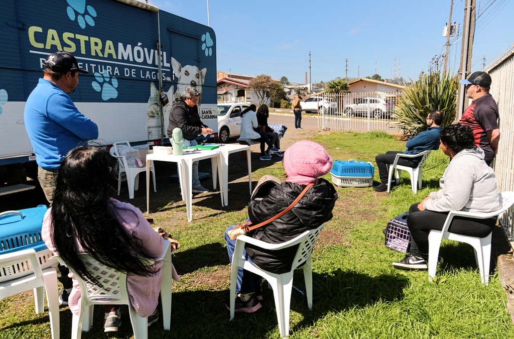 Mutirão de castração no Vila Nova é transferido para o dia 31 de outubro