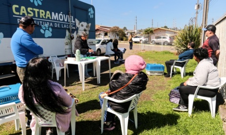 Mutirão de castração no Vila Nova é transferido para o dia 31 de outubro