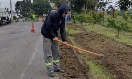 Mutirão de limpeza transforma ruas do bairro Frei Rogério