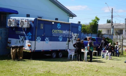 Cobea fará cadastramento para castração de cães e gatos nesta quarta-feira