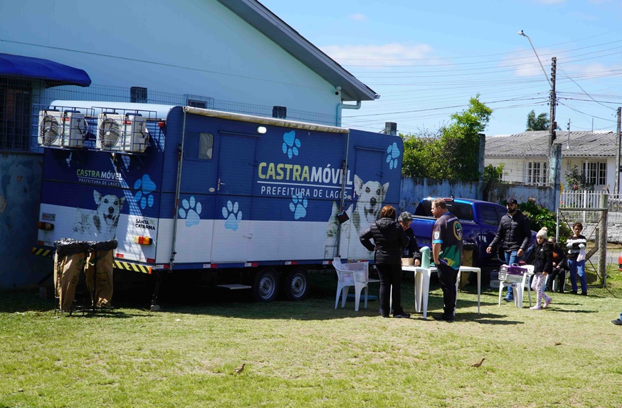 Cobea fará cadastramento para castração de cães e gatos nesta quarta-feira