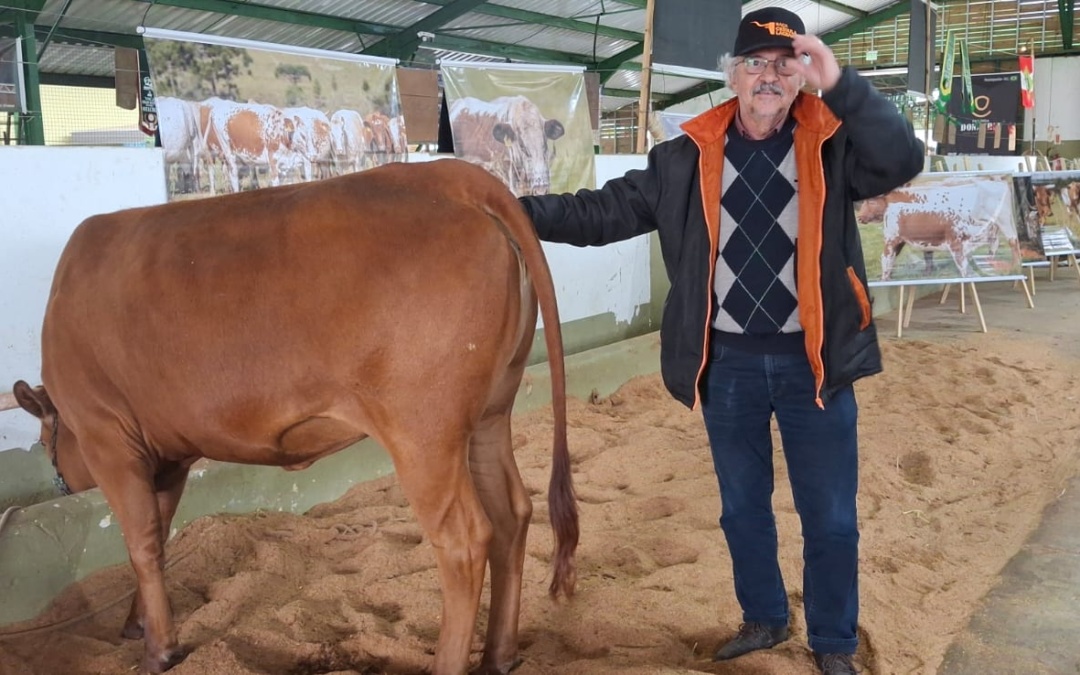 Raça Crioula Lageana mantém presença marcante na Expolages