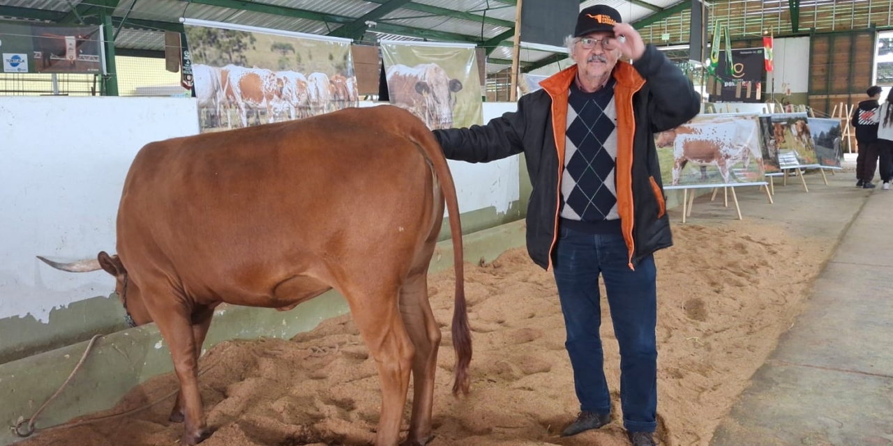 Raça Crioula Lageana mantém presença marcante na Expolages