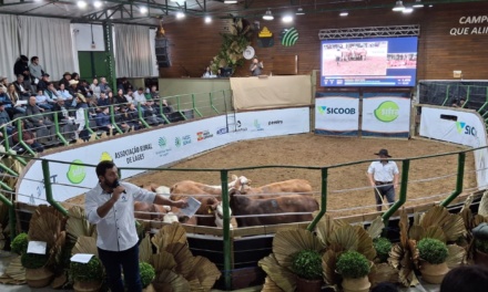 Expolages 2025 encerra valorizada pelo protagonismo regional no agronegócio e no empreendedorismo