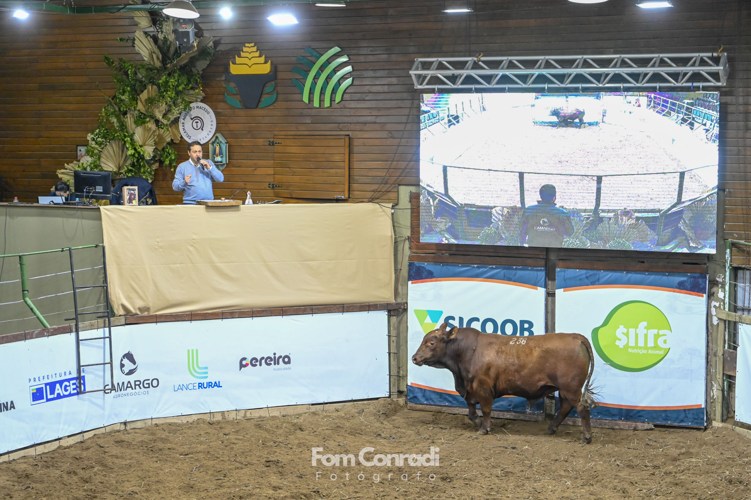 Leilões de reprodutores movimentam os primeiros negócios na Expolages