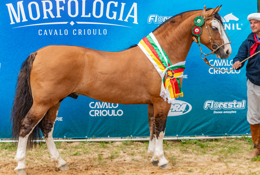 Sonho concretizado em Lages: “Ele é um projeto nosso”