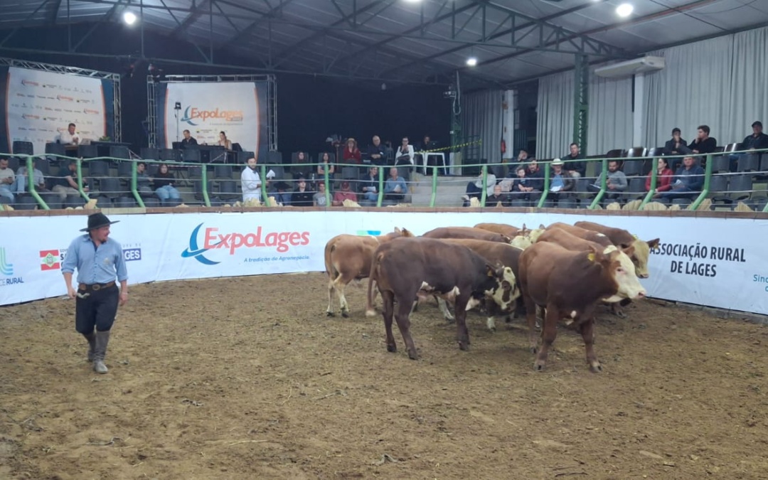 Leilões da Expolages capitalizam quase R$ 4,5 milhões em negócios