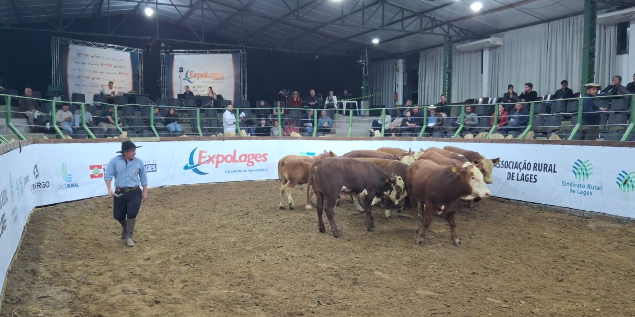 Leilões da Expolages capitalizam quase R$ 4,5 milhões em negócios