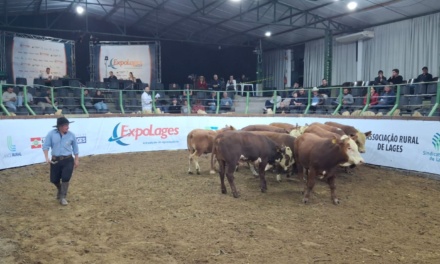 Leilões da Expolages capitalizam quase R$ 4,5 milhões em negócios