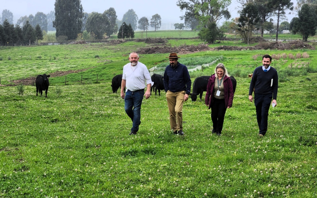 Pesquisador da Alemanha conhece trabalho da Epagri de Lages na pecuária