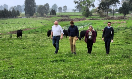 Pesquisador da Alemanha conhece trabalho da Epagri de Lages na pecuária